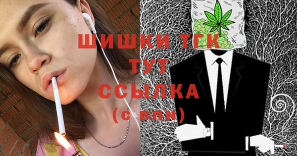 эйфоретик Арсеньев