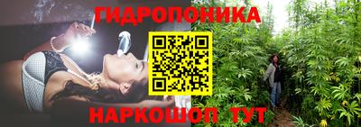 твердый Славгород