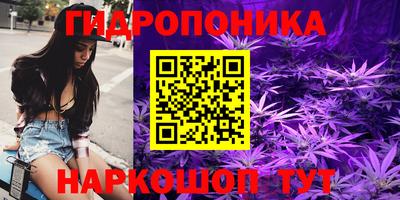 a pvp Сланцы