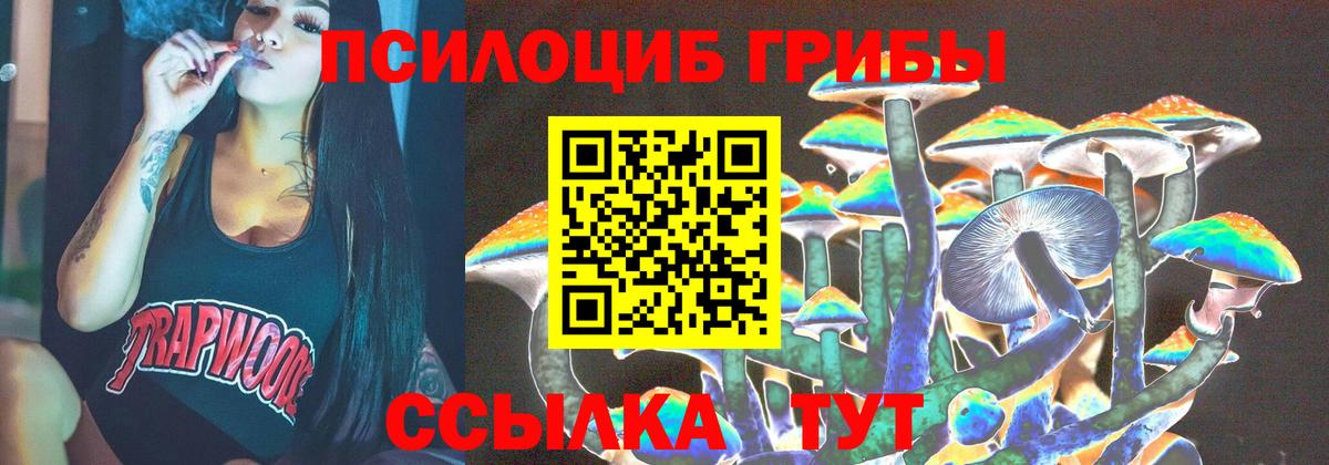 Галлюциногенные грибы ЛСД Чернушка
