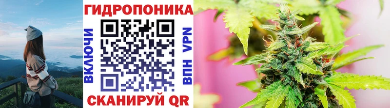 Бошки Шишки White Widow  купить наркотик  Чернушка 